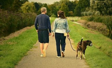 With regular visits, your dog will live to enjoy walks for years to come.